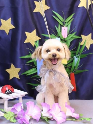 20230708ちゃいろくん